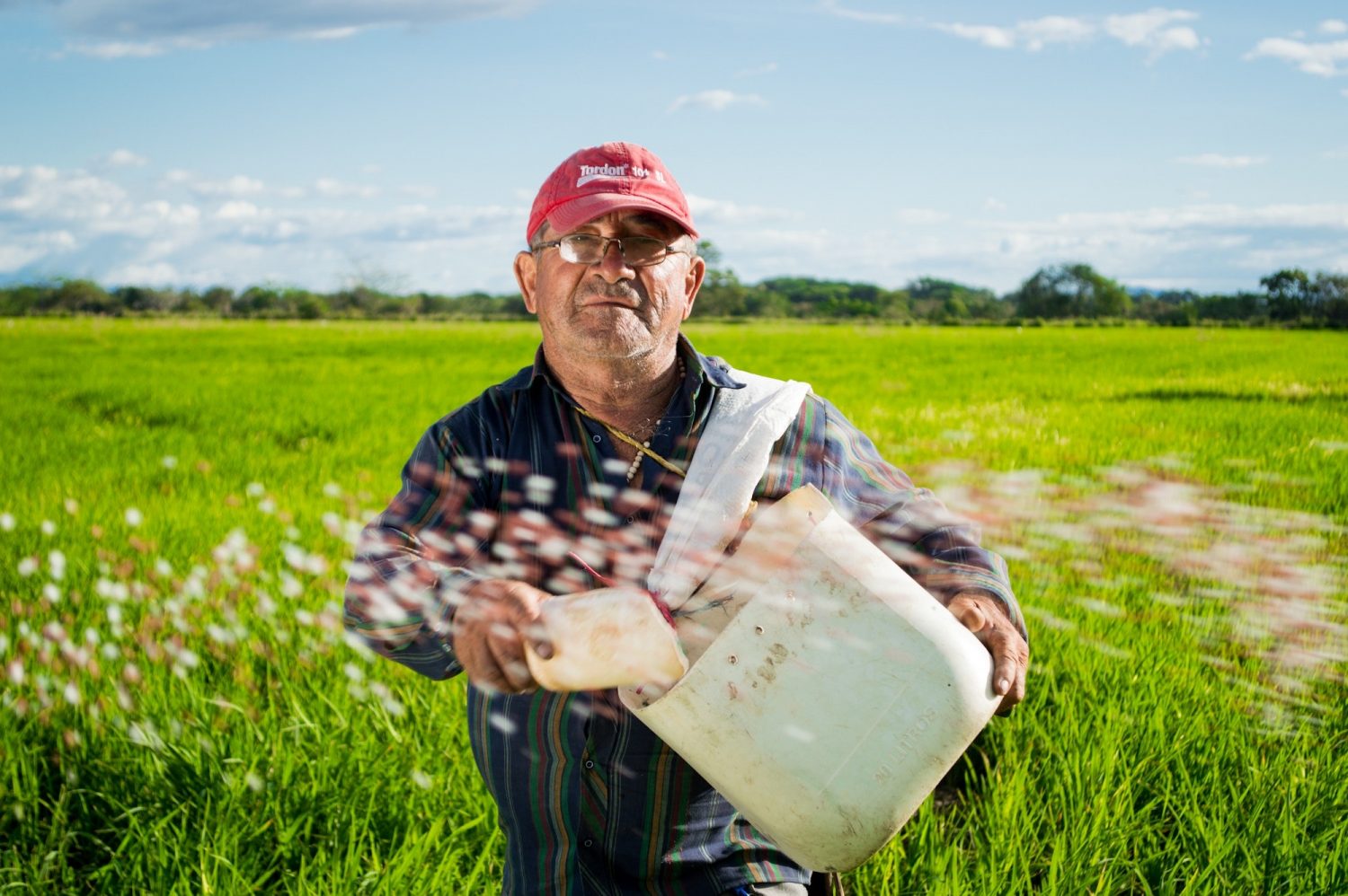 Dementia in Rural Communities: Tackling Isolation